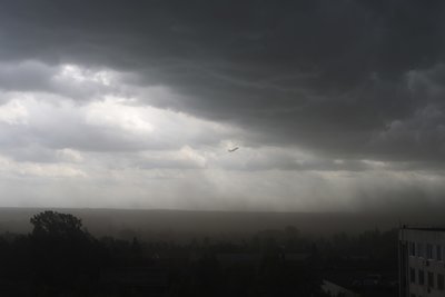 DSC_8616_00001.jpg
