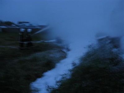 3890.JPG