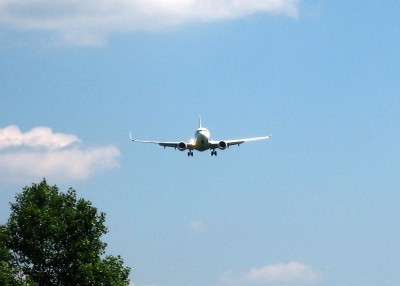737.jpg